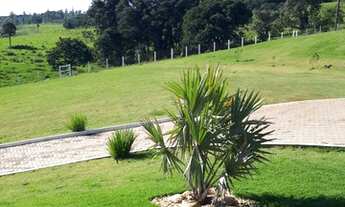 Imagem 6: FAZENDA EM SAPOPEMA