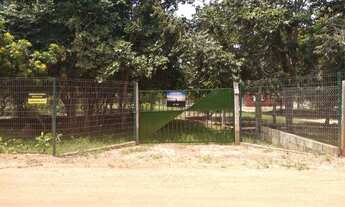 Imagem 6: CHÁCARA NA BEIRA DO LAGO DE PALMAS