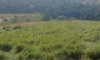 Imagem: V03-Terreno próximo de Santa Isabel