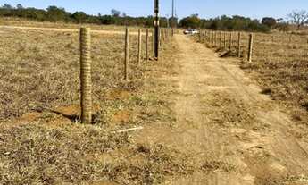 Imagem 4: Chácara em bonfinopolis