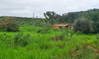 Imagem: VENDO FAZENDA