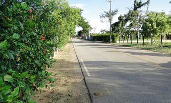 Imagem 3: ESTRADA DO BREJO GRANDE ÁREA 27.000 M²