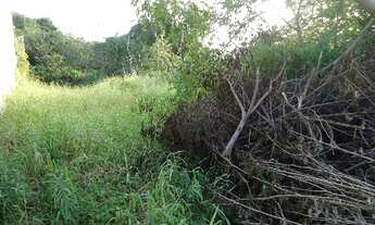 Imagem 3: Porto Alegre - Terreno Padrão - Nonoai