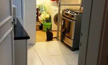 Imagem 4: APARTAMENTO - JARDIM PAULISTA - SP