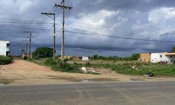 Imagem 3: Terreno com 300m² no asfalto na BA 502 em Conceição da Feira