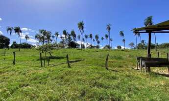 Imagem 7: Chácara 4 alqueires em Uruana-go