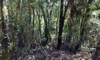 Imagem 3: Área à venda, 3790 m² por R$ 120.000,00 - Parque Pedra do Baú - Campos do Jordão/SP