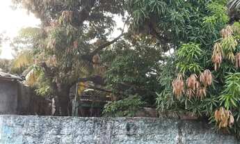 Imagem: Vende-se Casa na Imbiribeira 511m²