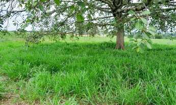 Imagem 5: Chácara medindo: 21.000mts. Excelente localização!