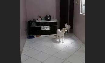 Imagem: Riacho Fundo. Apto 2 qts, escritura do prédio