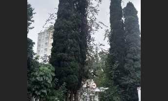 Imagem 2: São Paulo - Casa Padrão - Cambuci