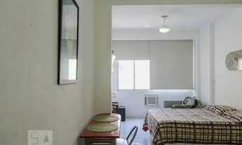 Imagem 2: Apartamento para Aluguel - Laranjeiras, 1 Quarto, 32 m2