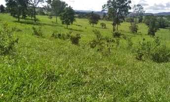 Imagem 2: Terra em Itaberaí -GO - MUITO BOA