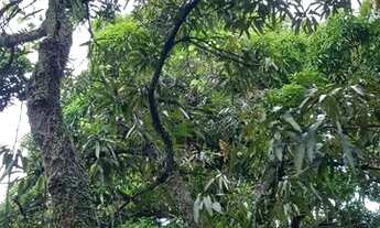 Imagem 4: Vende-se Casa na Imbiribeira 511m²