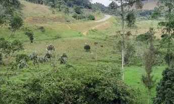 Imagem 6: Vendo Sítio em Juiz de Fora/MG (Direto com Proprietário