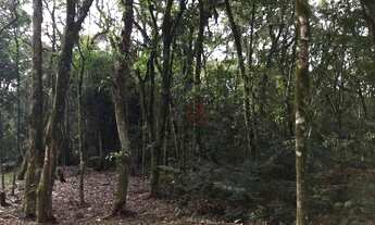 Imagem 1: Terreno no Condomínio O Bosque em Gramado!