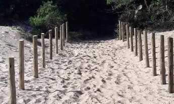 Imagem 4: FLORIANóPOLIS - Apartamento Padrão - Campeche