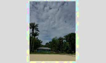 Imagem 4: Terreno com benfeitorias no Tarumã- 100 x 50