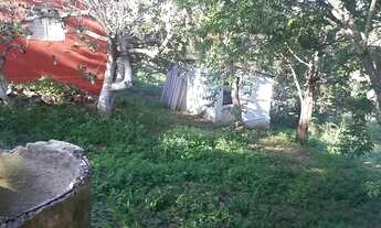 Imagem 7: Vendo sítio prox Shopp Carpina