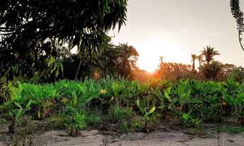 Imagem 5: Linda propriedade em Nazaria Teresina