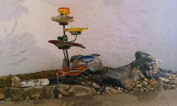 Imagem 4: Apartamento para aluguel tem 150 metros quadrados com 2 quartos em Lourdes - Belo Horizont