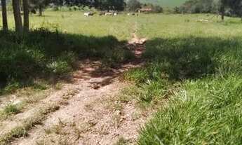 Imagem 3: Terra em Itaberaí -GO - MUITO BOA