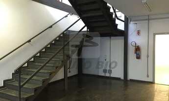 Imagem 5: SAO PAULO - Galpão/Depósito/Armazém - Parque São Lourenço