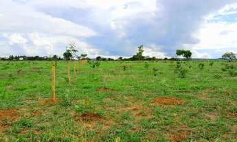 Imagem 7: Chácara medindo: 21.000mts. Excelente localização!