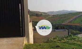 Imagem 7: Terreno 2 Meio Lote Perto Comevap À Venda, 250m² por R$ 180.000 - Rua Cinco - Rua Dirceu R