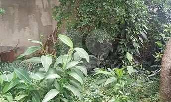 Imagem 6: Terreno na Zona Norte, no Bairro Vila Prado, com 540m², Próximo a Avenida Deputado Emilio