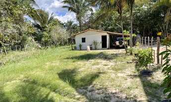 Imagem: Casa no interior de Altos-PI