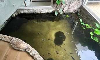 Imagem 4: SOBRADO LINDISSÍMO NO SETOR CENTER VILLE