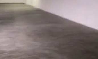 Imagem 7: Galpão de 550 m² em Santana, a apenas 400 metros do metro Jd. São Paulo