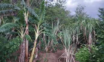 Imagem 2: Casa Casa com 3 dormitórios