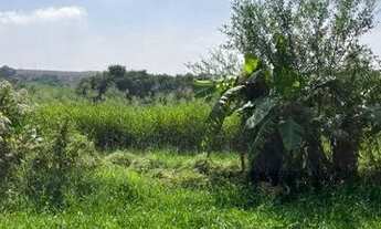 Imagem 7: Sítio com 46.098m² - Santana - Piracicaba/SP