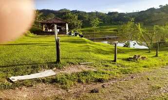 Imagem 2: OPORTUNIDADE FAZENDA 56 ALQUEIRES