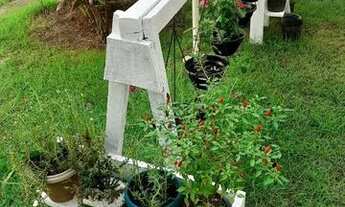 Imagem 2: Apto para alugar 2/4 na Barra dos Coqueiros