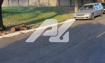 Imagem 2: Terreno - Jardim Santa Marcelina - Campinas