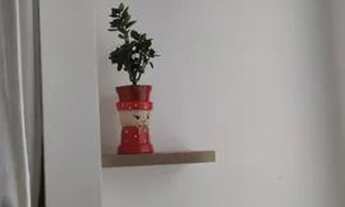 Imagem 3: Alugo 3/4 Totalmente mobiliado cond jardim girassóis