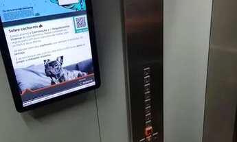 Imagem 6: Apartamento para locação na Vila Leopoldina, andar alto