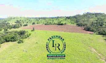 Imagem 4: Fazenda 23 Alqueires Beira Asfalto