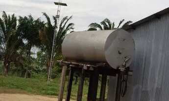 Imagem 6: Fazenda em Campos Lindos. 66 mil por alqueire