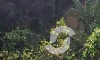 Imagem 4: Terreno à venda, 516 m² por R$ 150.000,00 - Várzea das Moças - Niterói/RJ