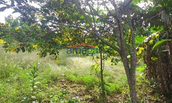 Imagem: Chácara à venda