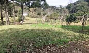 Imagem: Área 10.000m²