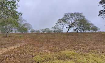 Imagem 2: 06 tarefas no haras em frente a pista de cavalo