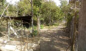 Imagem 6: Chácara 3.500 mts em bela vista