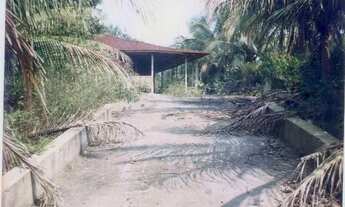 Imagem 7: Vende-se terreno na am 010 km 155 com terreno dos dois lado da pista com 61000m²