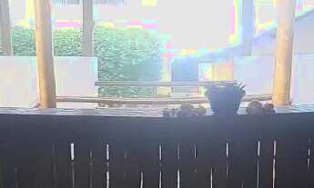 Imagem 4: Aluguel temporada