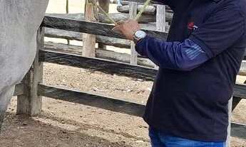 Imagem: Excelente fazenda de 6.000t, com sede